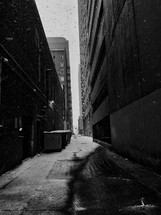 snowfall in an alley 