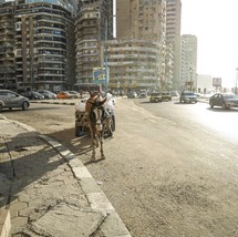 horse pulling a wagon on the streets of Alexandria, Egypt