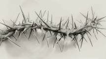 Long line, Crown of thorns on white background, hand drawn illustration