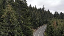Aerial drone shot of a rise on a forest of dense fir trees and a road cutting through it.