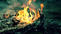 slow motion close up of fire burning 