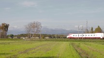 Train Passing in a field 