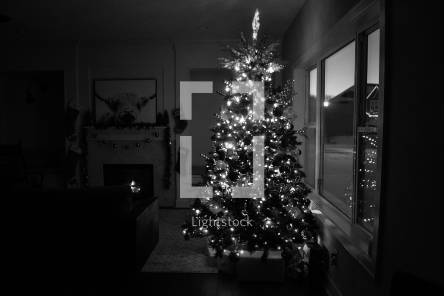 Christmas tree in black and white 