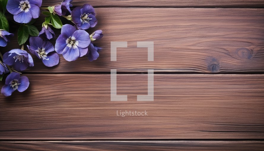 Violet flowers on wooden background. Top view with copy space.