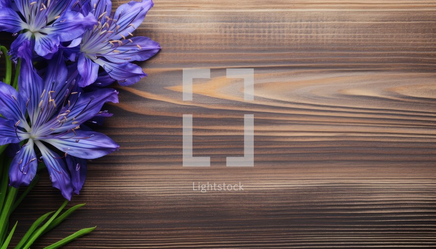 Beautiful crocus flowers on wooden background, top view. Space for text