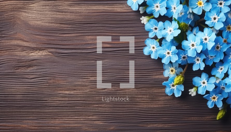 Forget-me-not flowers on wooden background, top view