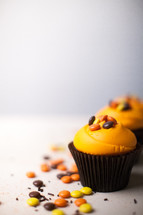 fall cupcakes on a white background 