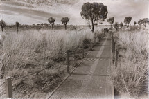 walking trail through the outback 