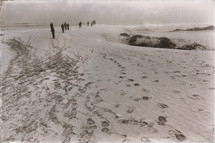people walking on a beach leaving footprints in the sand 