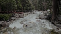 Creek in Yosemite Valley