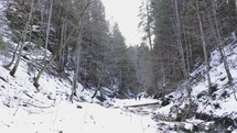 Couple Walking In Snowy Path In A Forest In Winter - wide shot