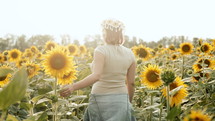 Romantic stylish woman walking through sunny blooming sunflowers field. Traveling concept, countryside lifestyle, carefree beautiful lady. High quality 4k footage