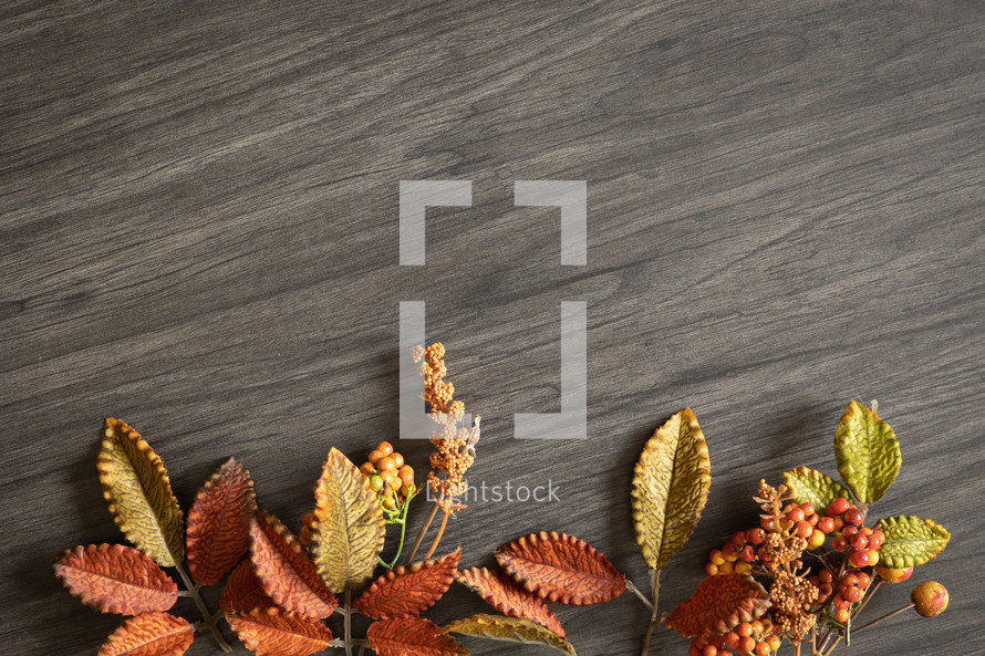 fall leaves on dark wood 