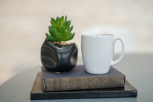 coffee mug, houseplant and a stack of books 