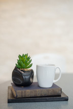 coffee cup, house plant, and a stack of books 