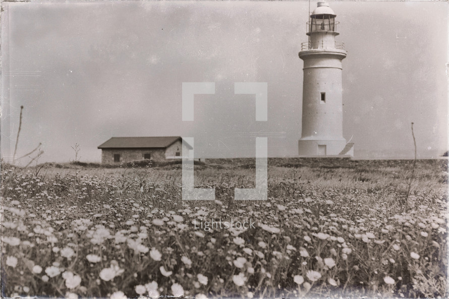 old lighthouse near a field of flowers 