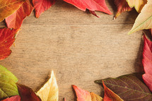 Frame of fresh autumn leaves on a light wood background