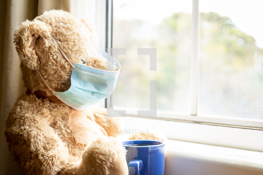 teddy bear wearing a face mask looking out a window 