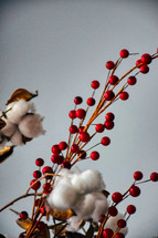 red berries and cotton 