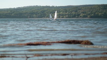 Windsurfing on lake.