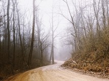 dirt road through a foggy forest 
