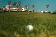 Golf course green, fairway grass and ball