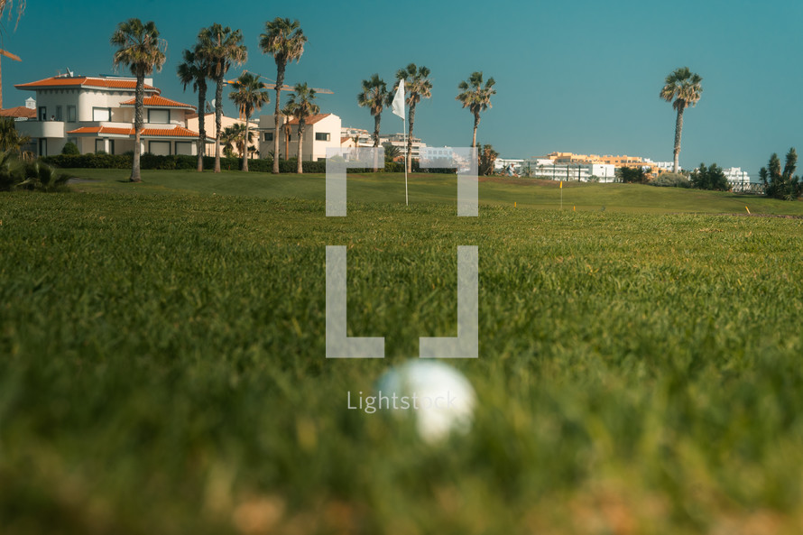 Golf course green, fairway grass and ball