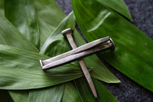 cross of nails and palm leaves 