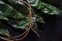 crown of thorns and green leaves 