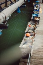 buoys and nets on a dock 