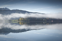 rising fog above trees around a lake 