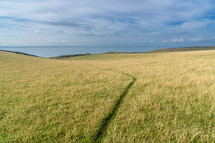worn path through a field of green grass 