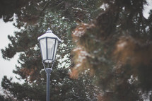 street lamp and tree tops 