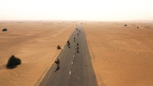 Herd of camels in the desert