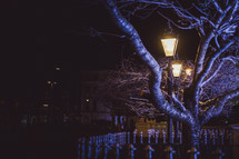 street lamps and tree branches 