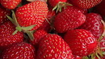 Organic red ripe strawberries