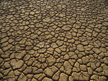 Dry cracked soil during a drought