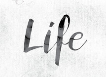 word life on white background 