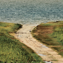 dirt path leading to a shore 