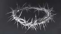 Crown of thorns hand drawn illustration