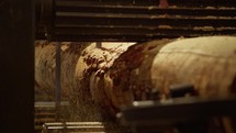 Close-up of the wood milling process with a focus on the machinery and the wooden log being processed, highlighted by sawdust