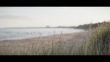 Field by the Shore at Sunset

