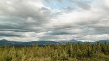 white clouds moving over an evergreen forest 