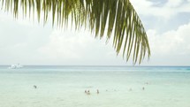 people swimming in the ocean and palm fronds 