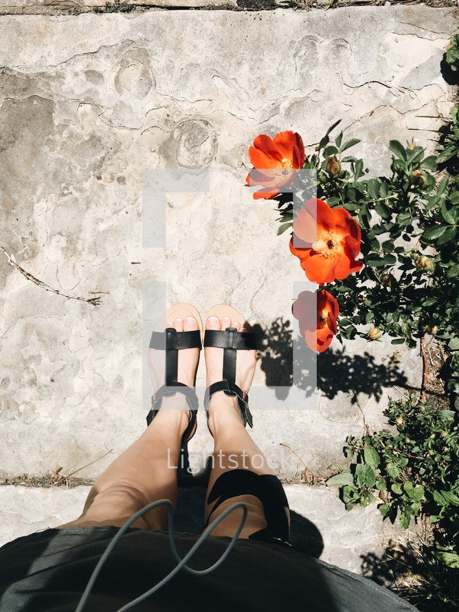 a woman in sandals and red hibiscus flowers 