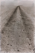 dirt road tracks in the desert 