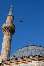 Pigeons on a mosque