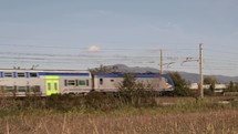 Train Passing in a field 