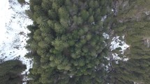 Drone flying over trees in valley with small river with a bit snow