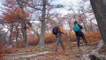 Young couple walking through fall or winter countryside using hiking poles - shot in slow motion
